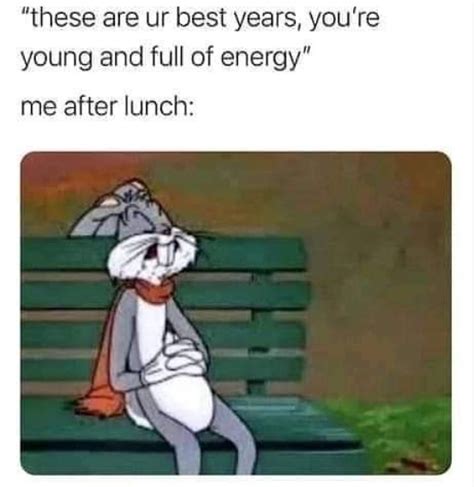 The Best Lunch Memes Memedroid
