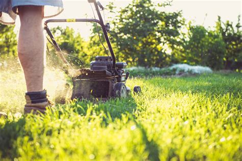The Complete Guide to Lawn Mowing + Lawn Mowing Tips