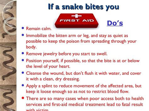 First Aid On Snake Bite