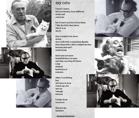 On Cats By Charles Bukowski Goodreads