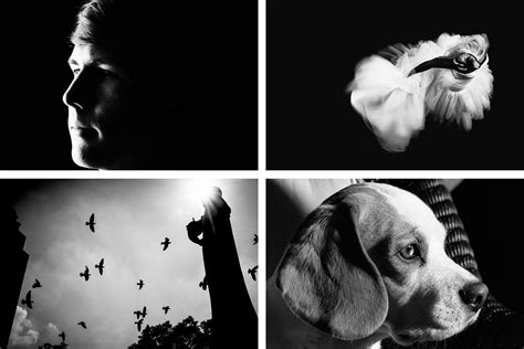 High Contrast Photography The Ultimate Guide With Examples And Tutorials
