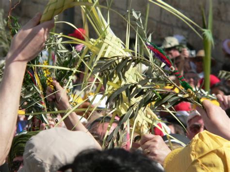 Visual Devotions For Holy Week Palm Sunday Worship Connect