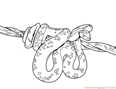 More images for hard snake coloring pages » 20+ Free Printable Snake Coloring Pages - EverFreeColoring.com