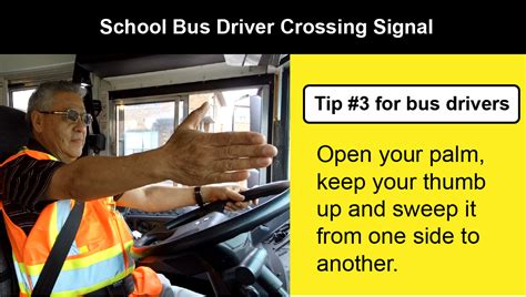 Il Segnale Raffigurato Permette La Sosta Degli Autobus - Student Transportation Services of Thunder Bay :: How to Cross Safely
