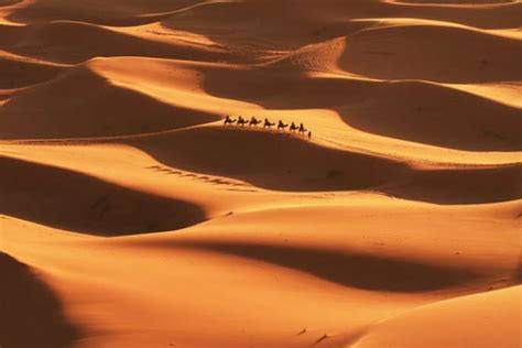 اجمل الصور الصحراء الجزائرية اجمل اللقطات لصحراء الجزائر احلى كلام