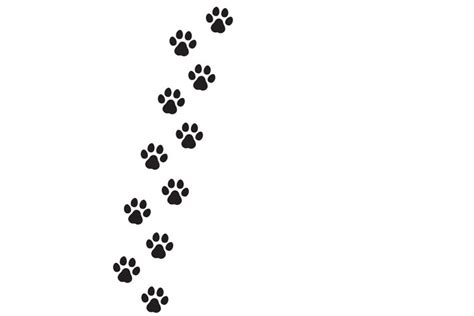 Dog S Footprint Icon Paw Print Vector 990174