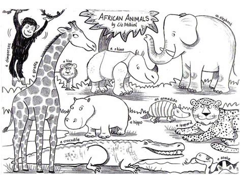 African Safari Coloring Pages Printable Free Coloring Sheets