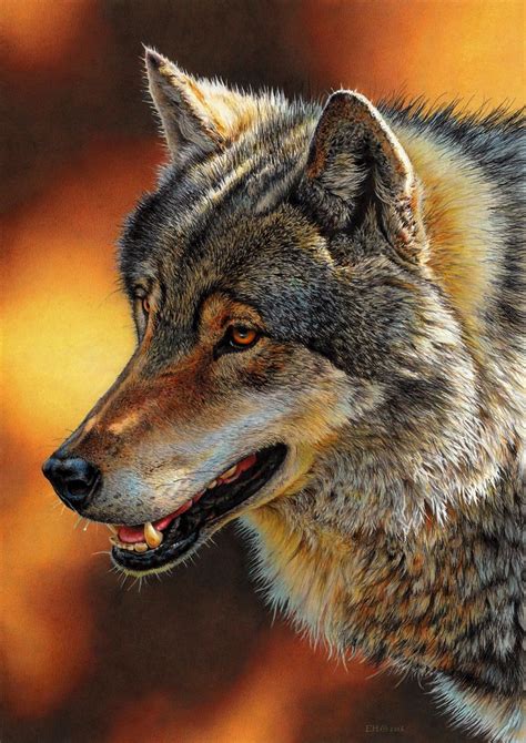 Wolf Portrait By Esthervanhulsen On Deviantart Wolf Pictures Wolf