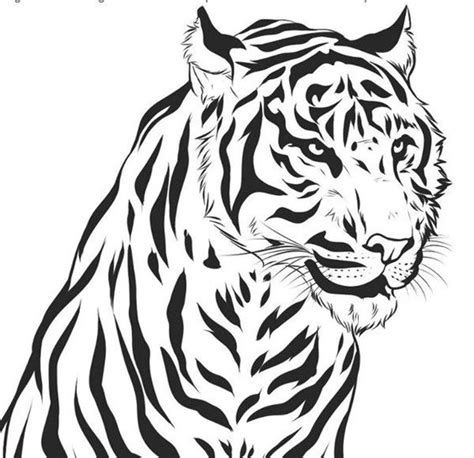 Aprender Acerca 56 Imagem Dibujos De Tigres Tiernos Thptletrongtan