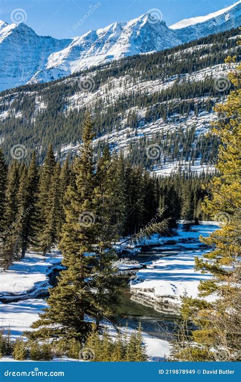 Views From The Roadside During A Drive Through The Park Peter Lougheed