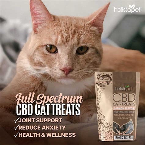 Whether you are looking to provide your dog with the bold flavor of bacon, or want to allow your kitty to indulge in the savory flavor of salmon cbd treats, we have you covered at cbd.co. Best CBD Cat Treats | Free Shipping | All Natural | HolistaPet