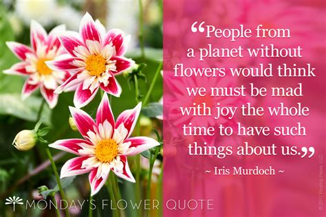 Flower Quote People From A Planet Without Flowers Floating Petals