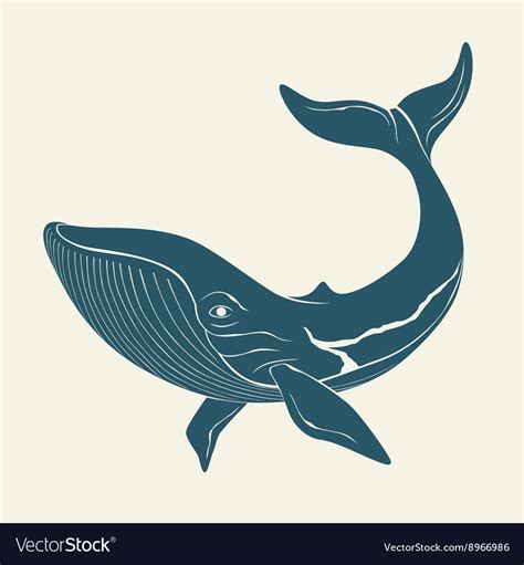 Silhouette Whale Template For Labels Royalty Free Vector