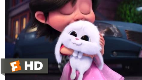 Snowball From Secret Life Of Pets Clashing Pride
