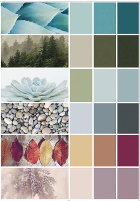 Organic Colour Palette Earth Colour Palette Earthy Color Palette