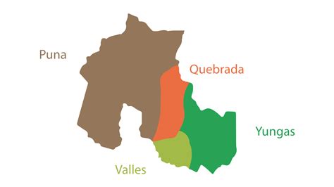 Regiones De Jujuy De La Puna A Las Yungas