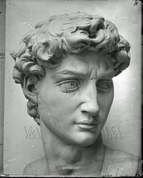 Cast Of The Head Of Michelangelos David In The Accademia Di Belle Arte