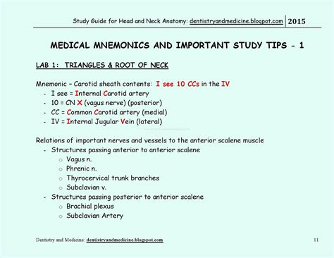 Dentistry And Medicine Study Guide For Head And Neck Anatomy Medical
