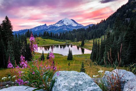 Photo Tipsoo Lake Mount Rainier National Park Sunset Free Pictures On