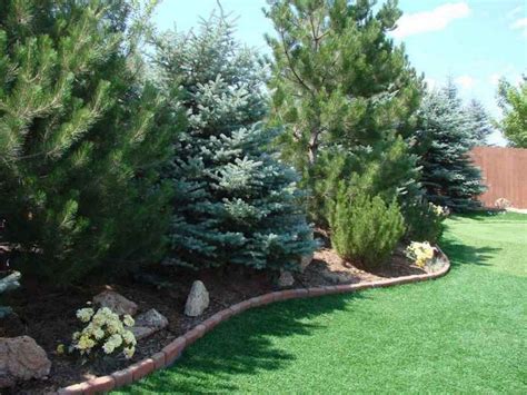 31 Great Tips And Ideas To Create Backyard Privacy Landscaping 24