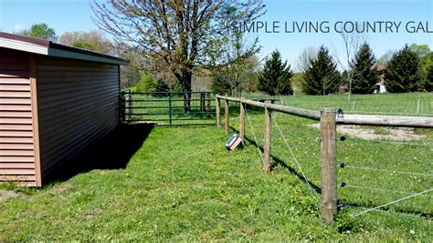 Do it yourself goat fence. Goat Fencing 101, Everything You Need To Know And More!