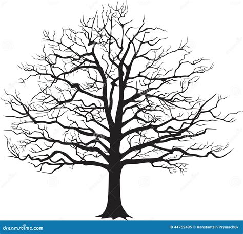 Black Silhouette Bare Tree Vector Illustration Stock Vector Image
