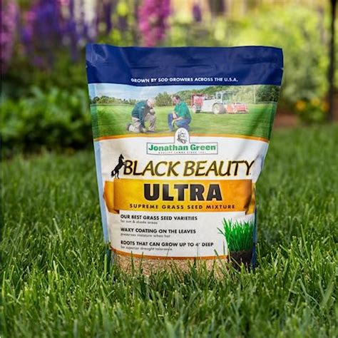 Jonathan Green 10323 Black Beauty Ultra Grass Seed Cool Season Lawn