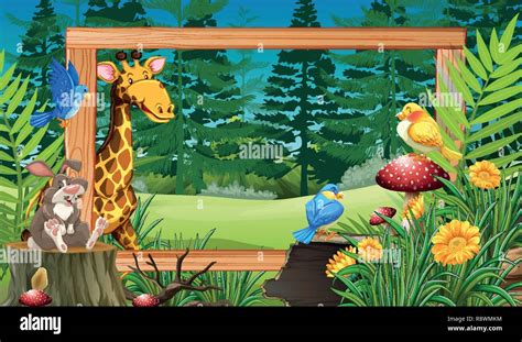 Wild Animals In Wooden Frame Illustration Stock Vector Image And Art Alamy