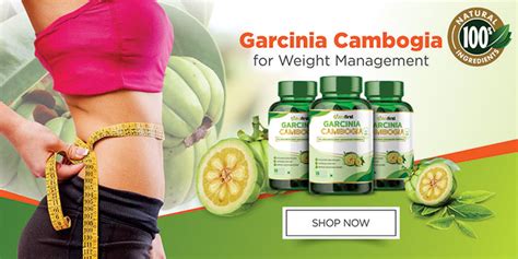 garcinia cambogia for weight loss who when and how to take