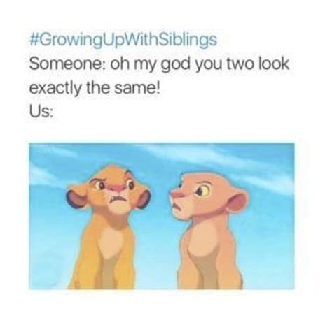 Top 115 Funny Memes On Brother And Sister