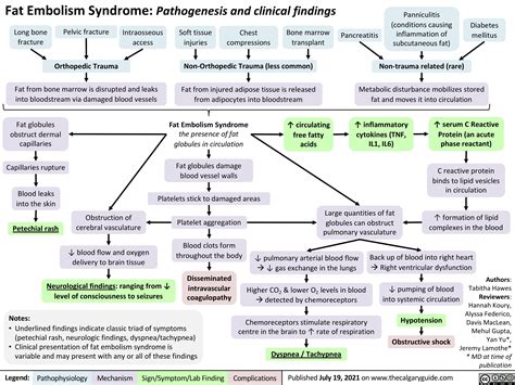Fat Embolism Syndrome Pathogenesis And Clinical Findings Calgary Guide