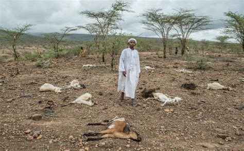 Ethiopia Struggles With Worst Drought