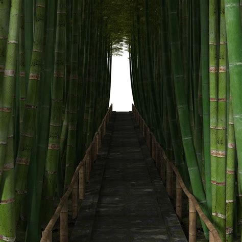 Bamboo Corridor 3d Landscape Landscape Corridor