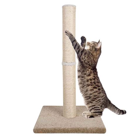 Best Rated In Cat Scratching Posts And Helpful Customer