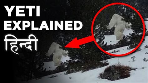 Yeti Explained Hindi Indian Army Spotted ‘yeti Footprints On