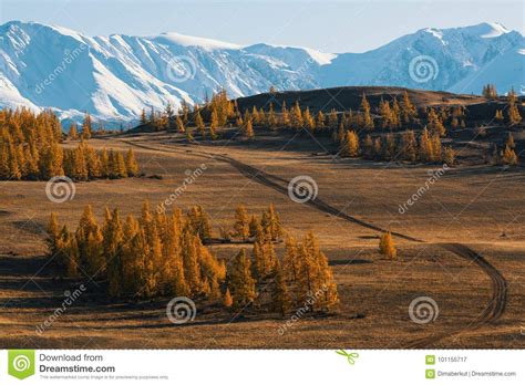 Valley And Snow Mountain Altai Mountains Chuya Ridge West Siberia