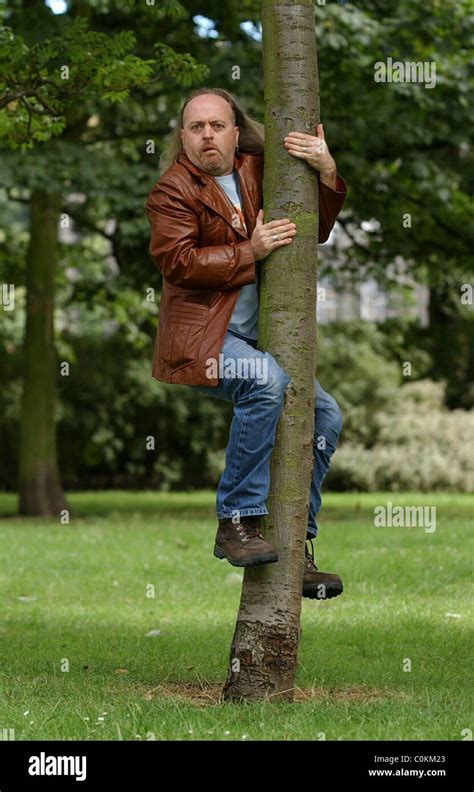 Comedian Bill Bailey Up A Tree Stock Photo Alamy