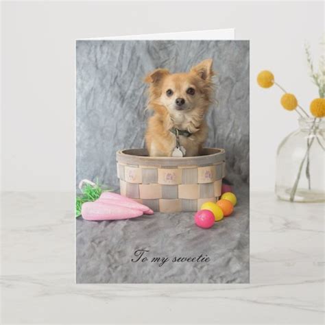 A Card With A Dog Sitting In A Basket