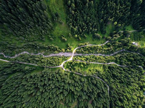 Aerial Drone View Of Trees From The Top On A Forest On The Italian