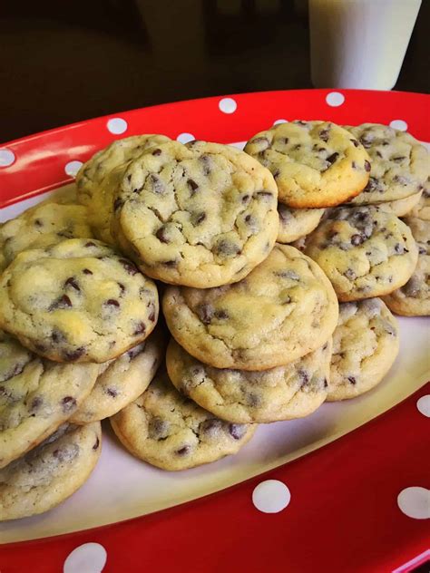 The Easiest Chocolate Chip Cookie Recipe Ever Becipesfews