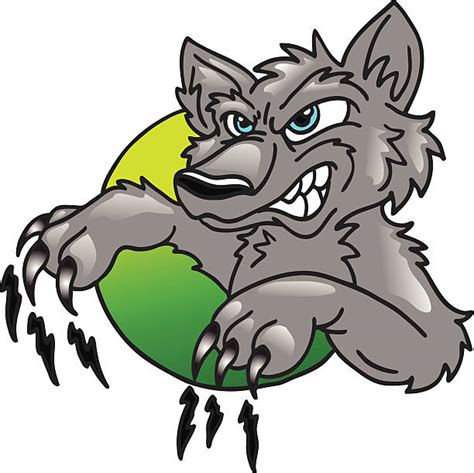 170 Mean Wolf Mascot Cartoons Stock Photos Pictures And Royalty Free