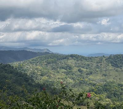 Land For Sale In Costa Rica