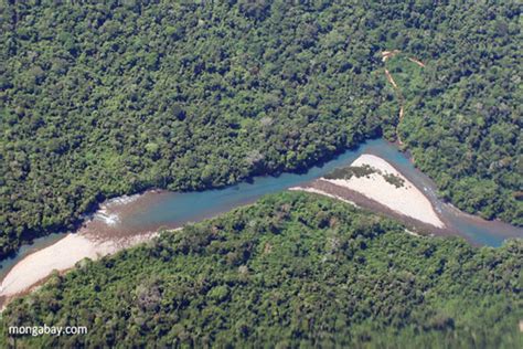 Amazon Rainforest From Above