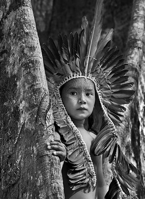 He initially did master in. Sebastião Salgado lança campanha contra extermínio ...