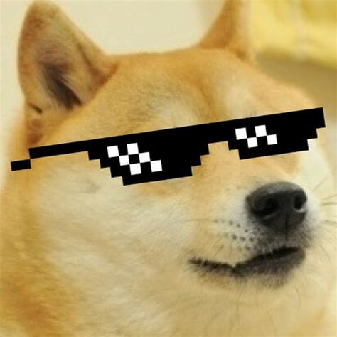 Doge For Days Youtube