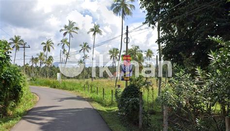 P Land For Sale In Ranjanagama Road Kurunegala Ikman