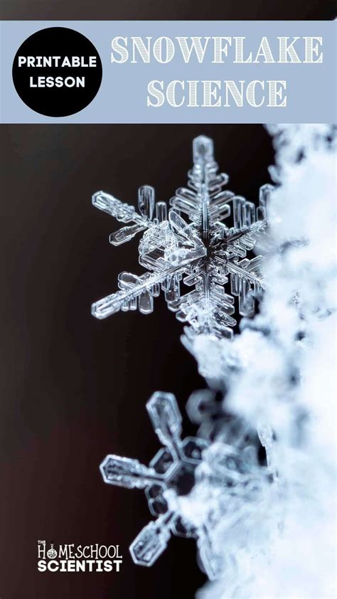 Snowflake Science Lesson Snowflakes Science Winter Science Winter