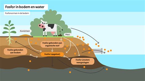 fosfor in bodem en water rivm