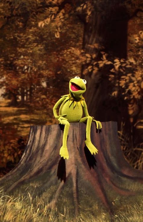 Kermit Its Not Easy Being Green Kermit The Frog