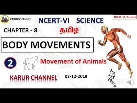 History madan gowri story story tamil tamil tamil videos tamil youtube tamil youtube videos videos youtube youtube videos. NCERT Class 6 Science in Tamil / Chapter-8 / Body Movements / Part-02 / KARUR CHANNEL - YouTube